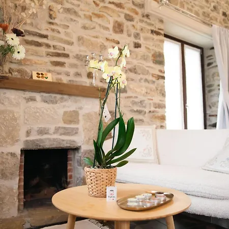 I Cento Portali Pignola